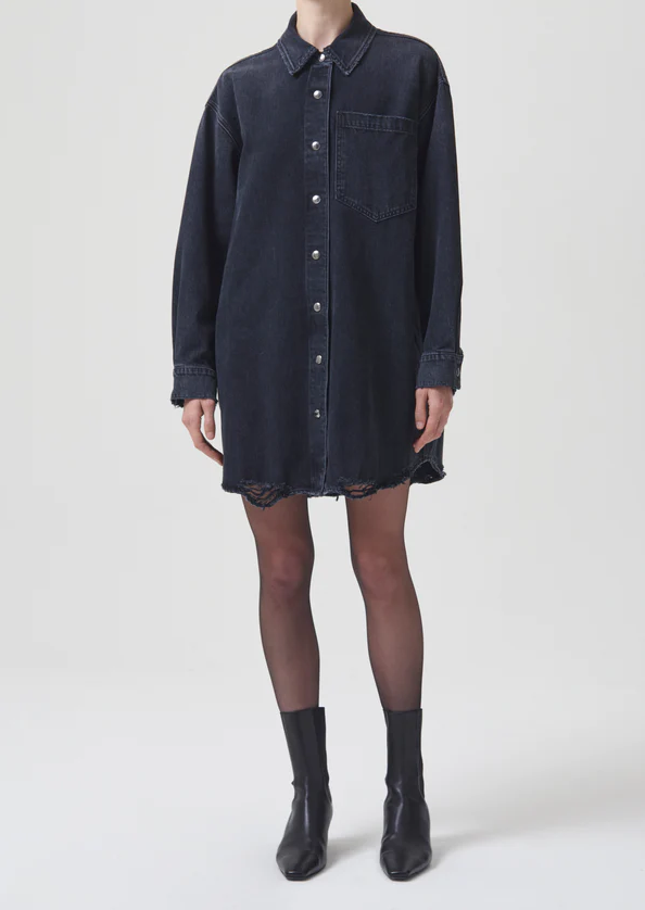 AGOLDE Mazie Shirt Dress